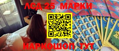 mdpv Новодвинск