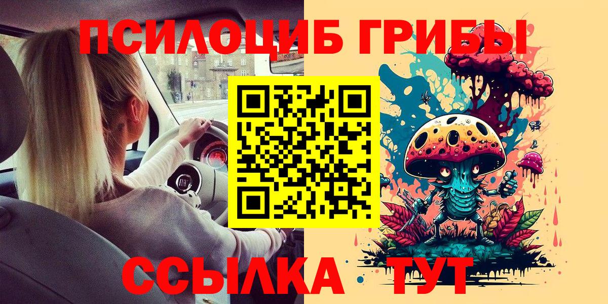 Галлюциногенные грибы Psilocybe  Вход с VPN  Сердобск 